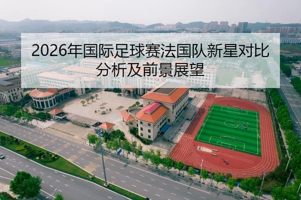 2026年国际足球赛法国队新星对比分析及前景展望