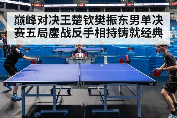 巅峰对决王楚钦樊振东男单决赛五局鏖战反手相持铸就经典